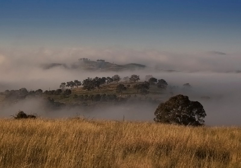 dairy farmers lookout from the pinnacle.jpg